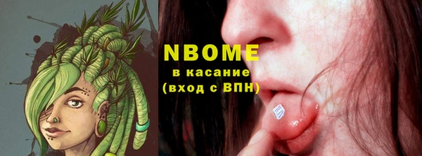 прущие грибы Коряжма