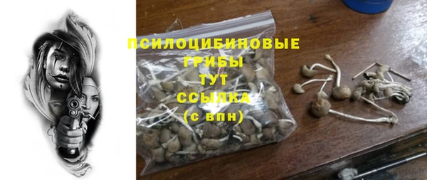 дурь Корсаков