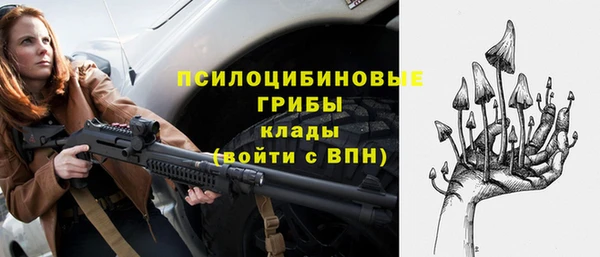 дурь Корсаков