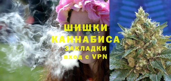 прущие грибы Коряжма