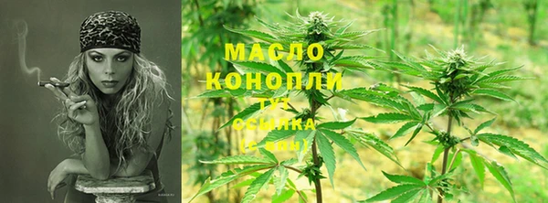 прущие грибы Коряжма