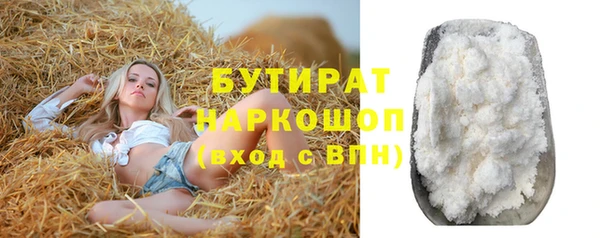 прущие грибы Коряжма